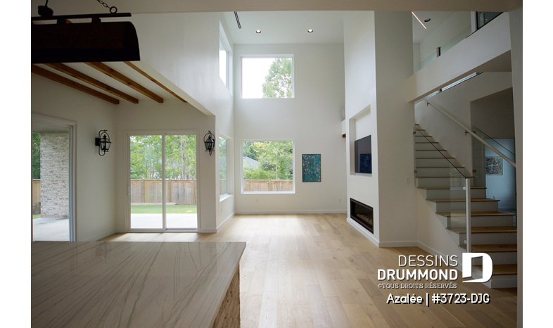 Photo Salon - Azalée