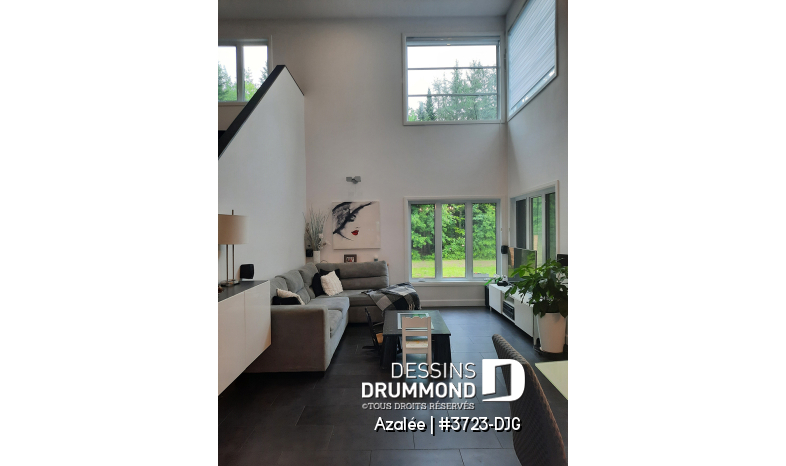 Photo Salon - Azalée