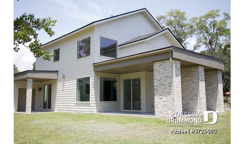 Photo Vue arrière - Azalée