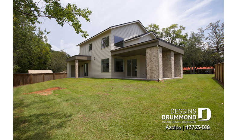 Photo Vue arrière - Azalée