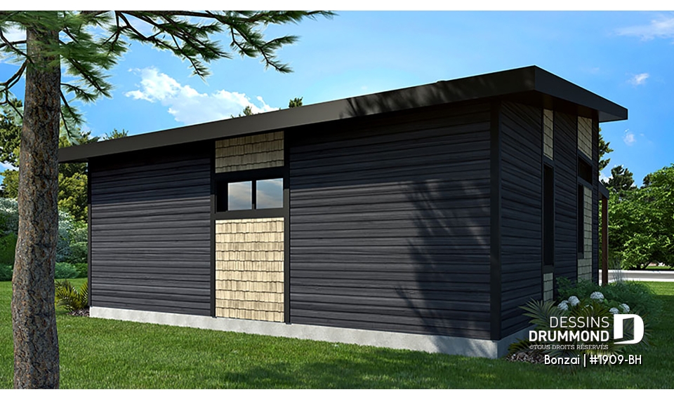 Version couleur no. 3 - Vue arrière - Bonzai