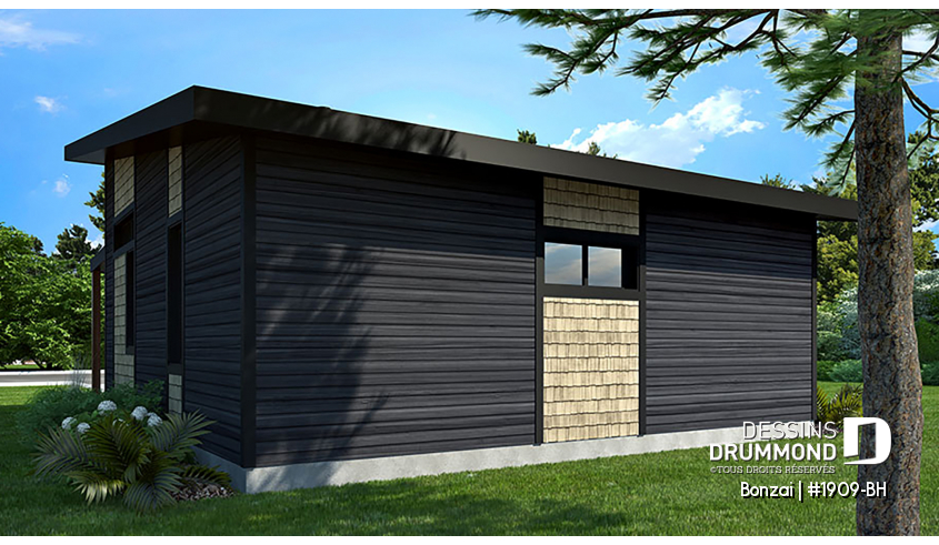 Version couleur no. 3 - Vue arrière - Bonzai