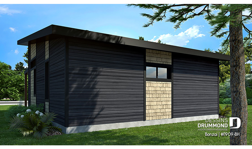 Version couleur no. 3 - Vue arrière - Bonzai