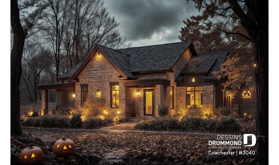 Vue avant - MODÈLE DE BASE - Colechester