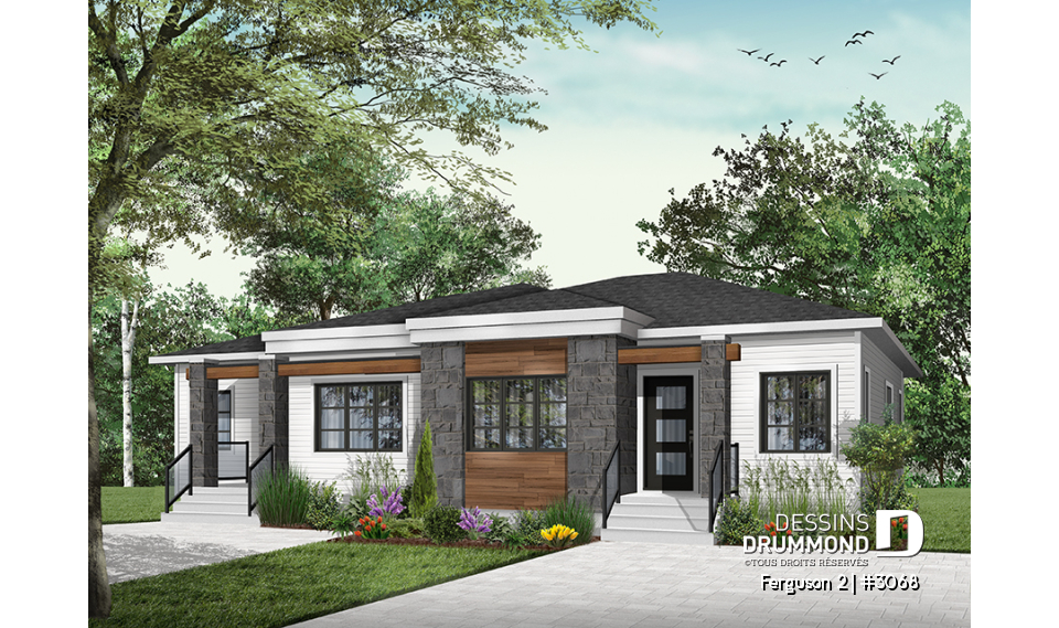 Version couleur no. 1 - Vue avant - Ferguson 2