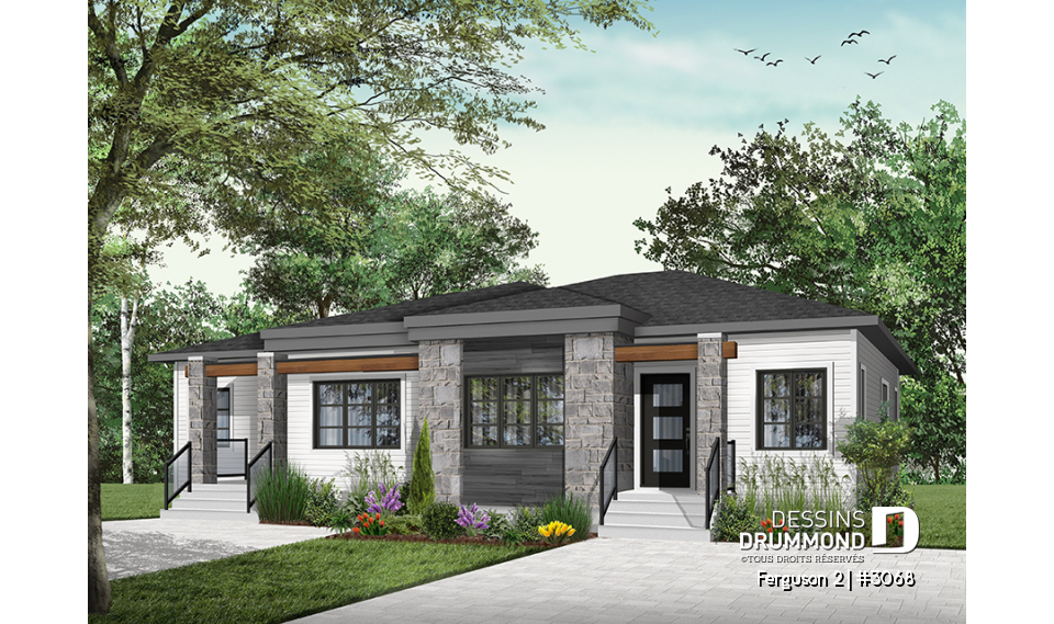 Version couleur no. 2 - Vue avant - Ferguson 2