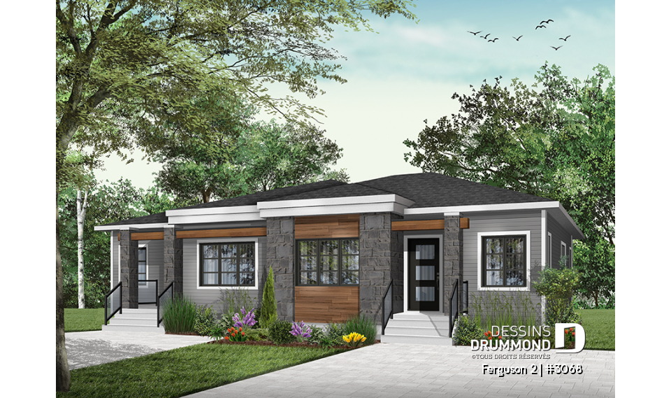 Version couleur no. 3 - Vue avant - Ferguson 2