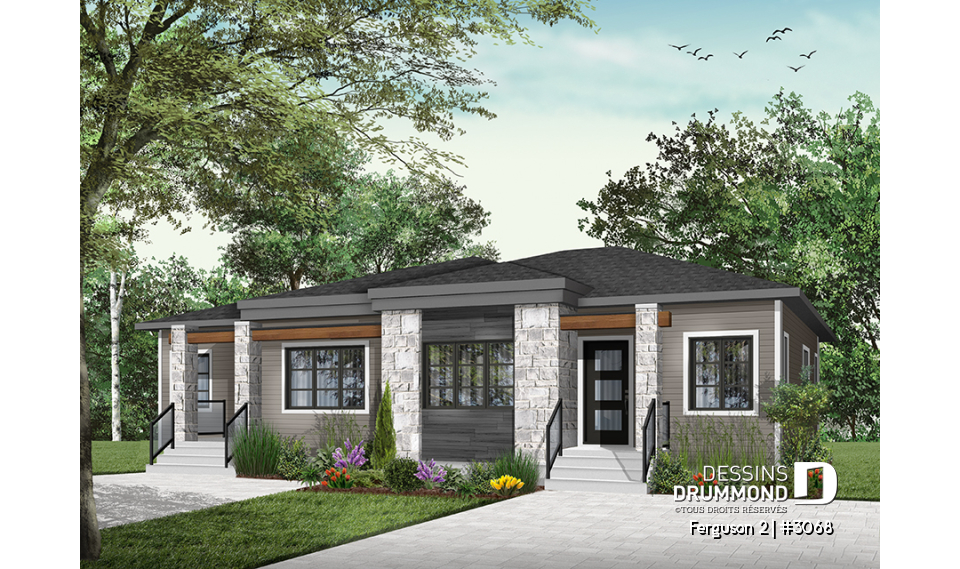 Version couleur no. 5 - Vue avant - Ferguson 2