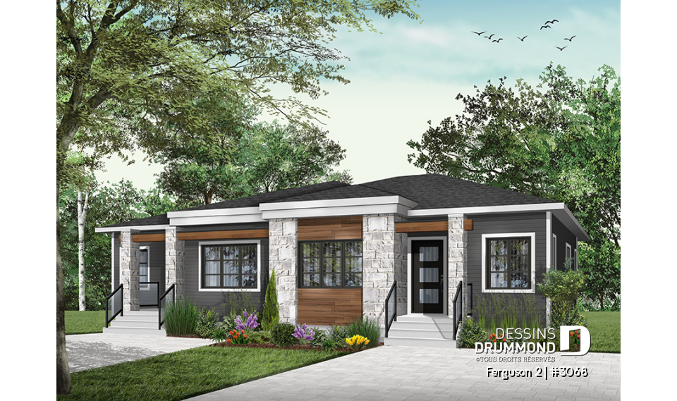 Version couleur no. 6 - Vue avant - Ferguson 2