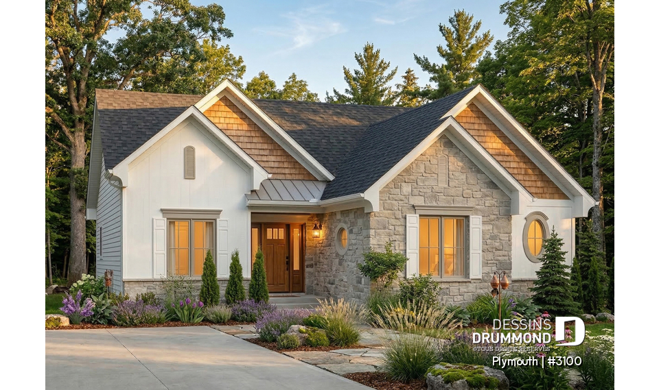 Version couleur no. 1 - Vue avant - Plymouth