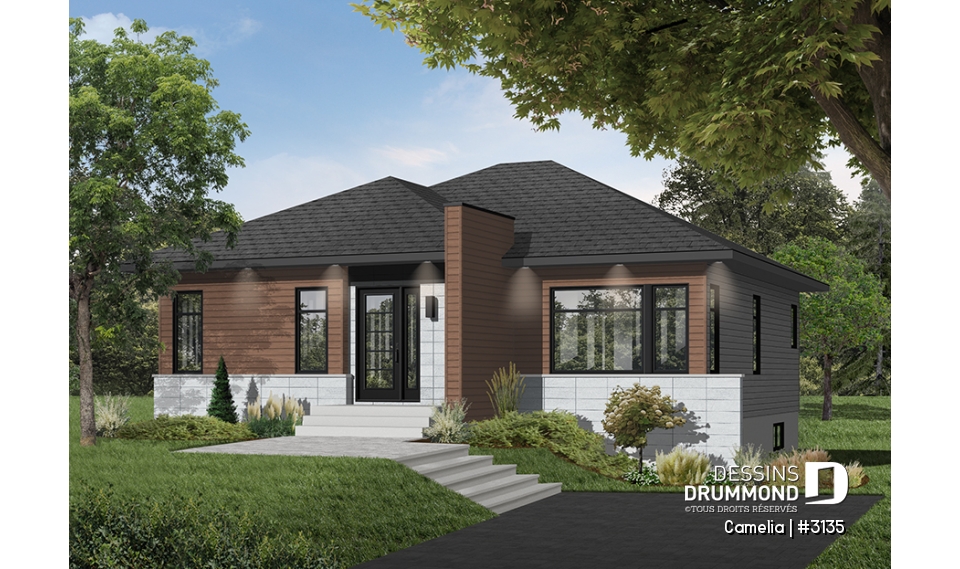 Version couleur no. 1 - Vue avant - Camelia