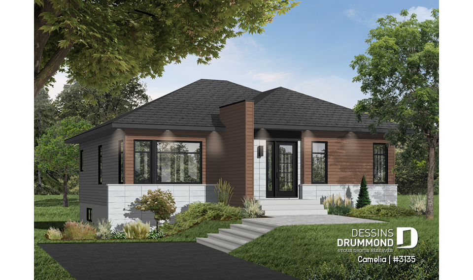 Version couleur no. 1 - Vue avant - Camelia