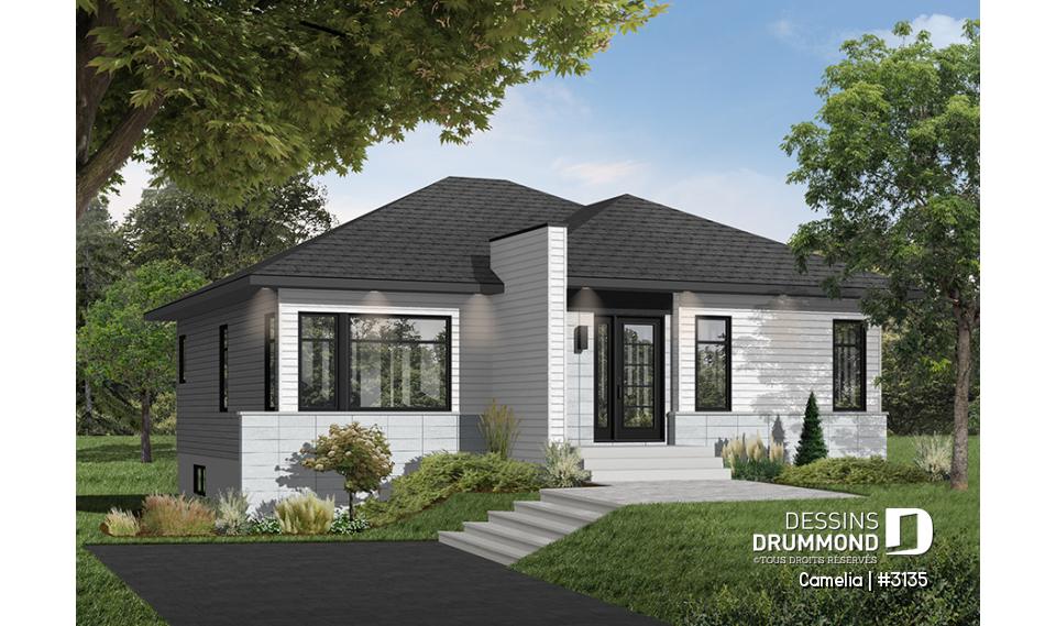 Version couleur no. 3 - Vue avant - Camelia