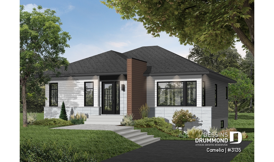 Version couleur no. 4 - Vue avant - Camelia