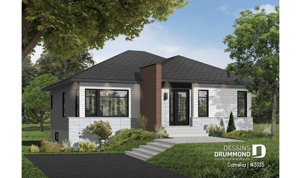 Version couleur no. 4 - Vue avant - Camelia