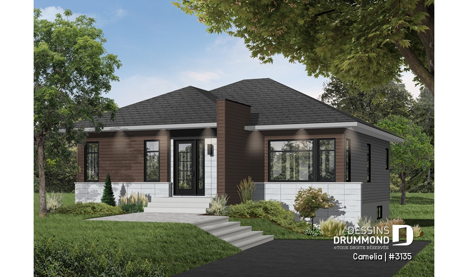 Version couleur no. 5 - Vue avant - Camelia