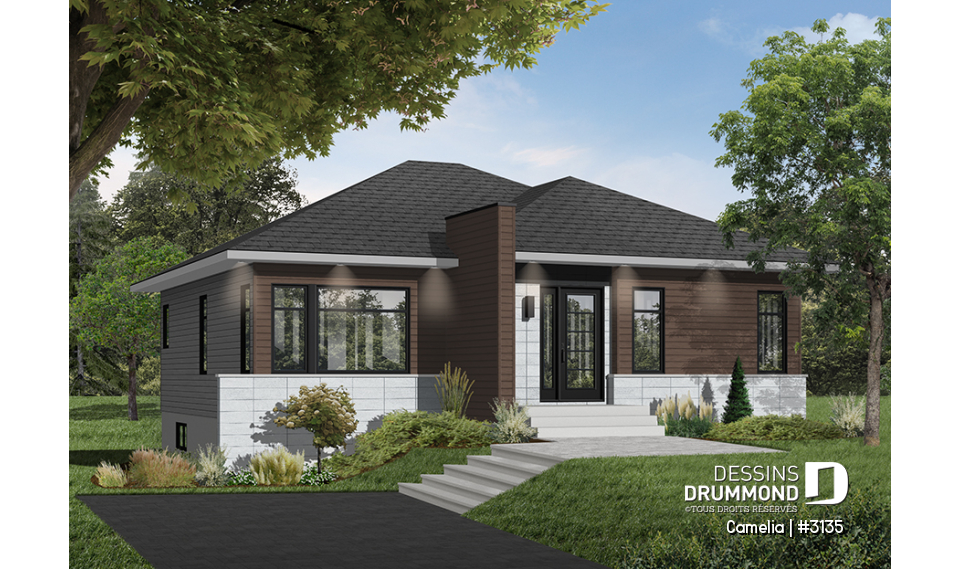 Version couleur no. 5 - Vue avant - Camelia