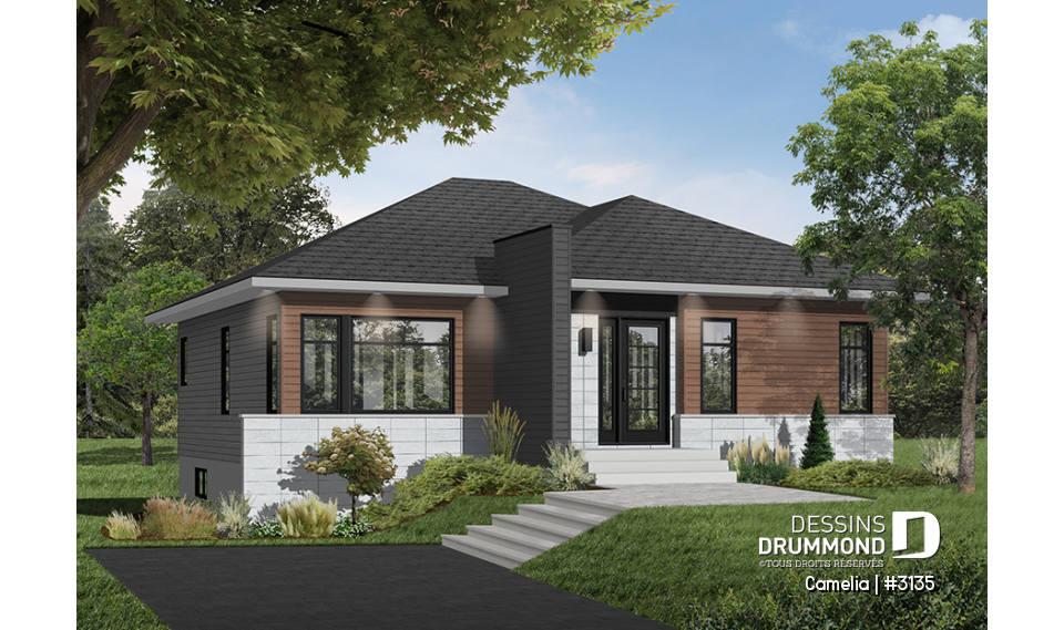 Vue avant - MODÈLE DE BASE - Camelia