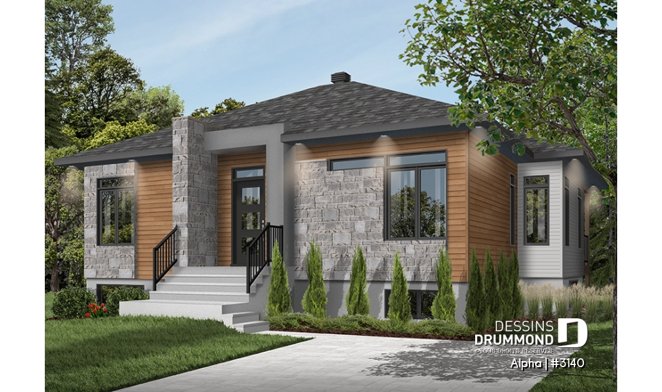 Version couleur no. 1 - Vue avant - Alpha