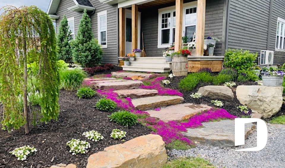 Photo Vue avant - Bradley 2