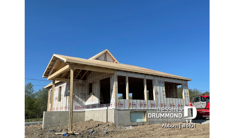 Photo Vue arrière - Auburn