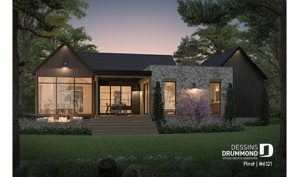 Vue arrière - MODÈLE DE BASE - Pinot