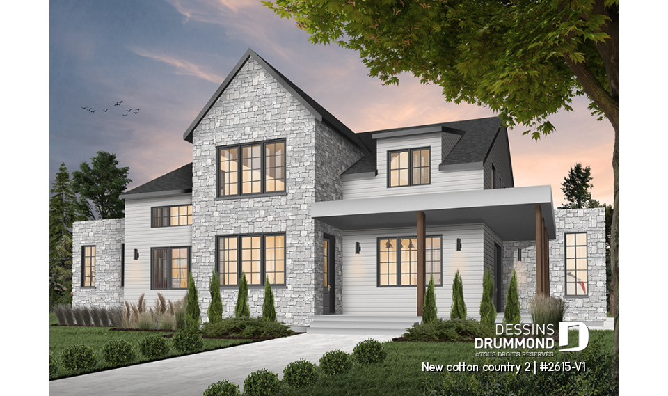 Version couleur no. 4 - Vue avant - New cotton country 2