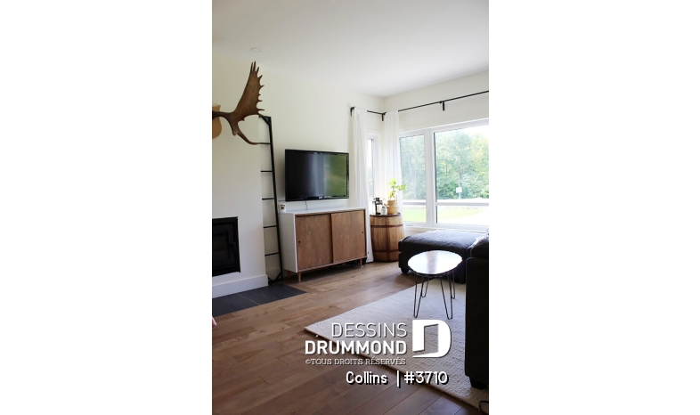 Photo Salon - Collins 