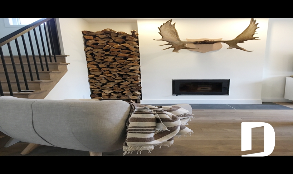 Photo Salon - Collins 