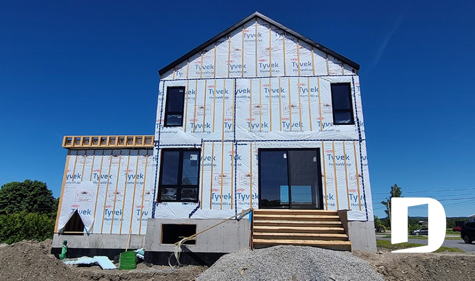 Photo Vue arrière - Séquoïa 3