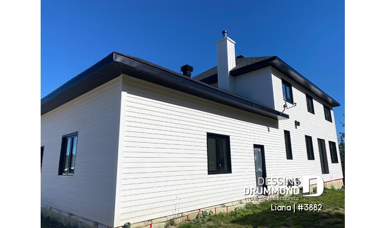 Photo Vue arrière - Liana