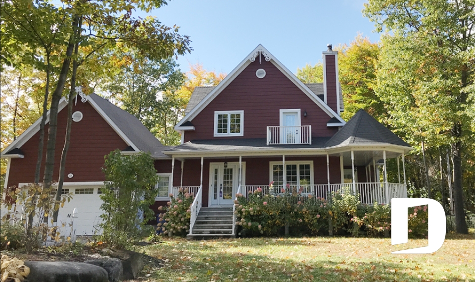 Photo Vue avant - Fougère