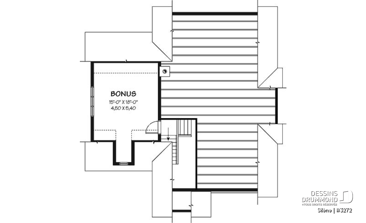 Espace boni - Plan de maison de plain-pied, 2 à 3 chambres, avec garage, rangement boni, espace ouvert - Silène