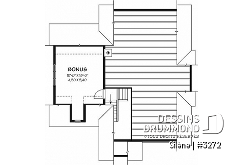 Espace boni - Plan de maison de plain-pied, 2 à 3 chambres, avec garage, rangement boni, espace ouvert - Silène