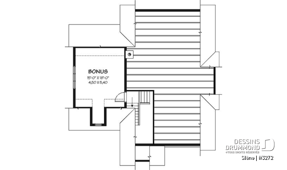Espace boni - Plan de maison de plain-pied, 2 à 3 chambres, avec garage, rangement boni, espace ouvert - Silène