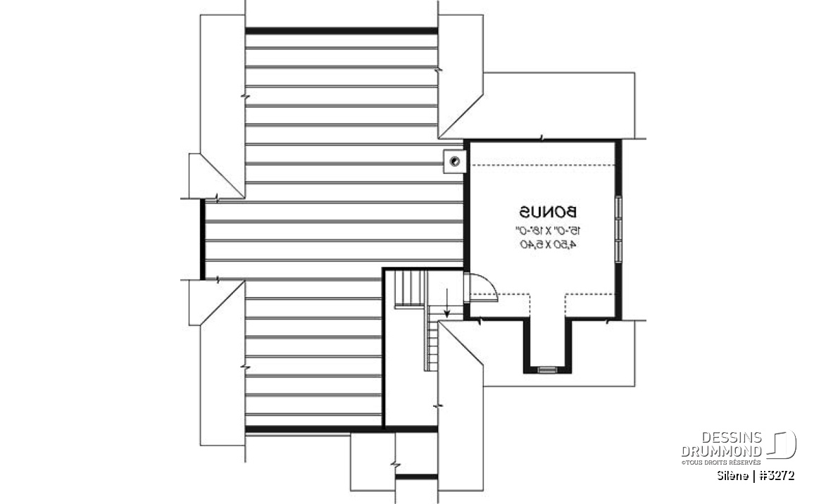 Espace boni - Plan de maison de plain-pied, 2 à 3 chambres, avec garage, rangement boni, espace ouvert - Silène