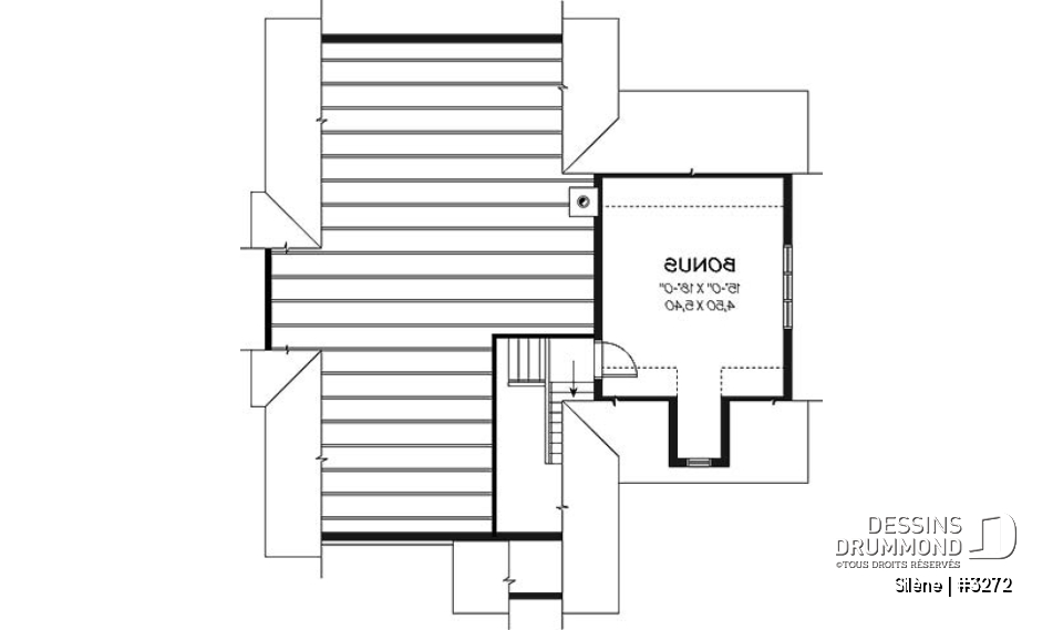 Espace boni - Plan de maison de plain-pied, 2 à 3 chambres, avec garage, rangement boni, espace ouvert - Silène